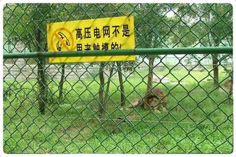 动物园隔离网